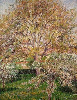 Camille Pissarro : Walnut and Apple Trees in Bloom, Eragny